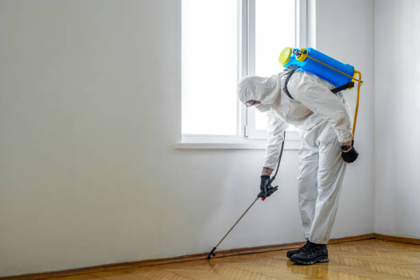 Best Local Pest Control Services  in Bloomingdale, TN