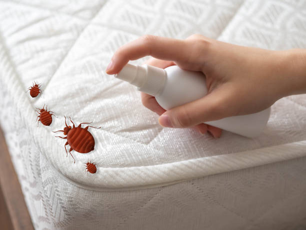 Best Bed Bug Extermination  in Bloomingdale, TN