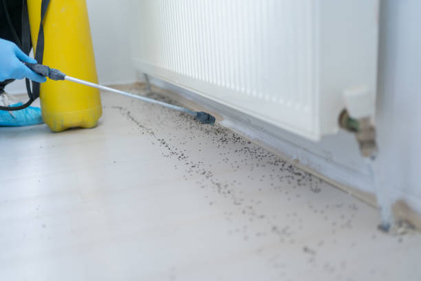 Best Pest Prevention Services  in Bloomingdale, TN