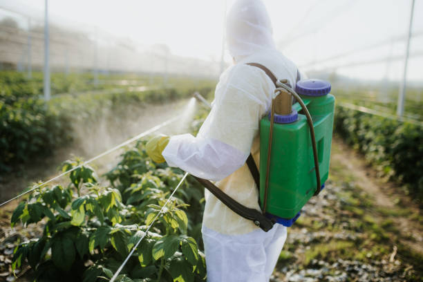  Bloomingdale, TN Pest Control Pros